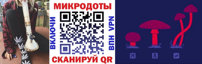 Псилоцибиновые грибы мухоморы  что такое   Камбарка 